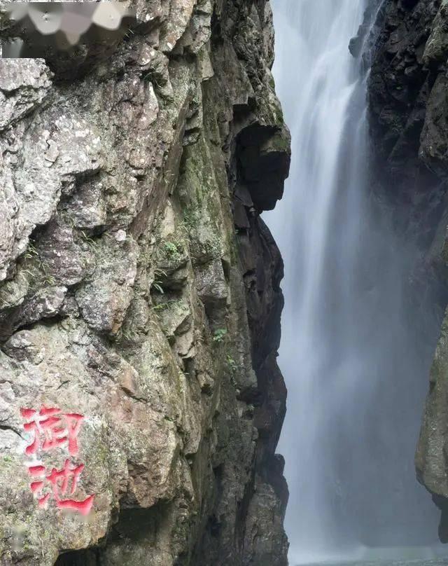 祖传的圣旨，被专家借走后20年不还，最终将其告上法庭
